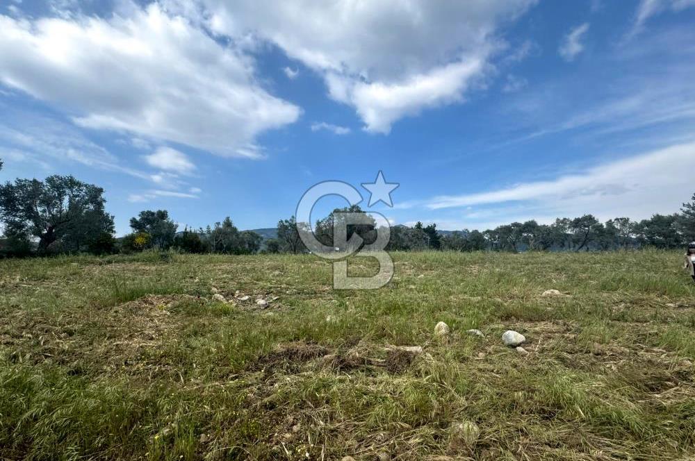 Buca Kırklar Köyünde 7400 m² Manzaralı Tek Tapu Satılık Tarla