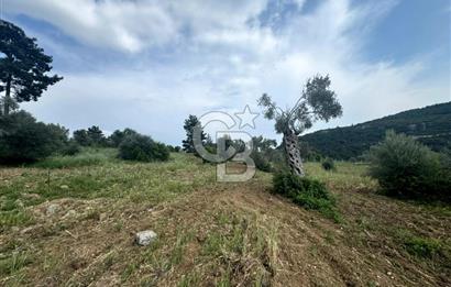 Buca Kırklar Köy Merkezine Yakın 5840 m² Tek Tapu Satılık Tarla
