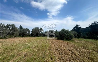 Buca Kırklar Köyünde 7400 m² Manzaralı Tek Tapu Satılık Tarla