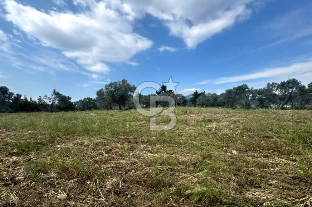 Buca Kırklar Köyünde 7400 m² Manzaralı Tek Tapu Satılık Tarla