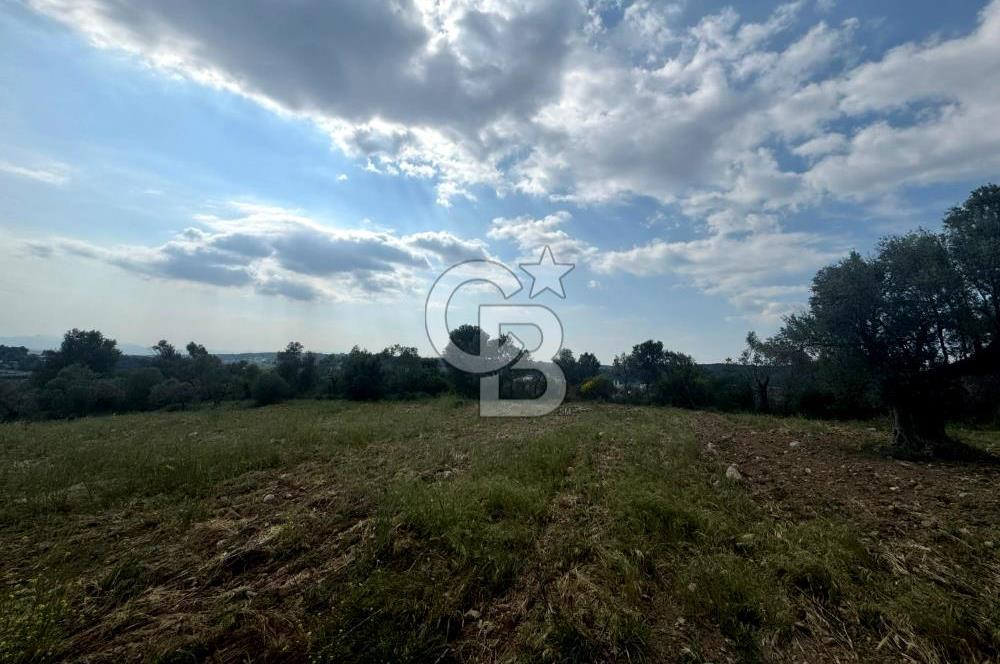Buca Kırklar Köyünde 7400 m² Manzaralı Tek Tapu Satılık Tarla