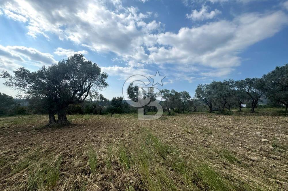 Buca Kırklar Köyünde 7400 m² Manzaralı Tek Tapu Satılık Tarla