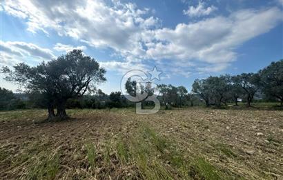 Buca Kırklar Köyünde 7400 m² Manzaralı Tek Tapu Satılık Tarla