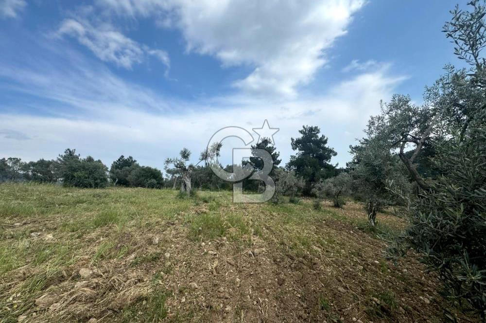 Buca Kırklar Köyünde 7400 m² Manzaralı Tek Tapu Satılık Tarla