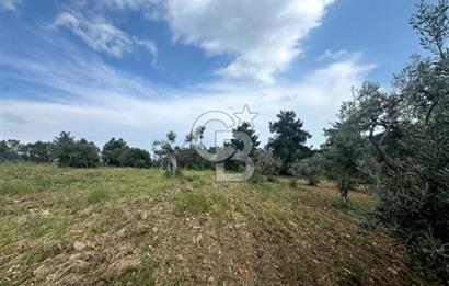 Buca Kırklar Köyünde 7400 m² Manzaralı Tek Tapu Satılık Tarla