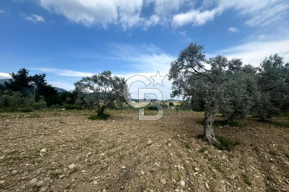 Buca Kırklar Köyünde 7400 m² Manzaralı Tek Tapu Satılık Tarla