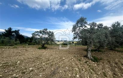 Buca Kırklar Köyünde 7400 m² Manzaralı Tek Tapu Satılık Tarla