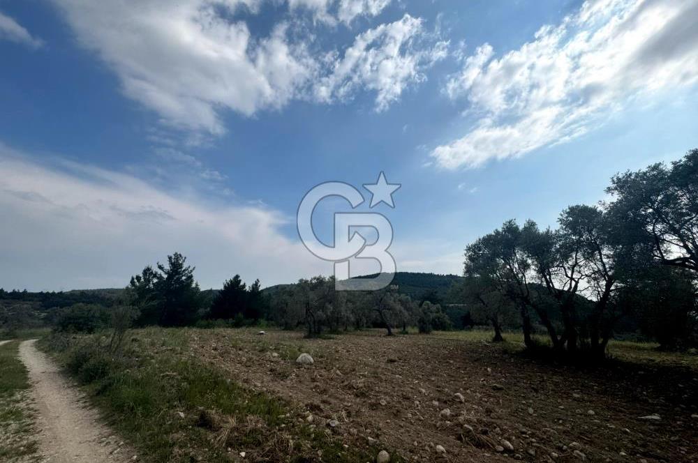 Buca Kırklar Köyünde 7400 m² Manzaralı Tek Tapu Satılık Tarla