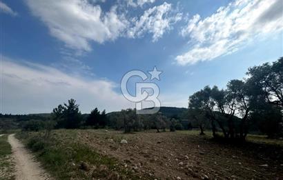 Buca Kırklar Köyünde 7400 m² Manzaralı Tek Tapu Satılık Tarla