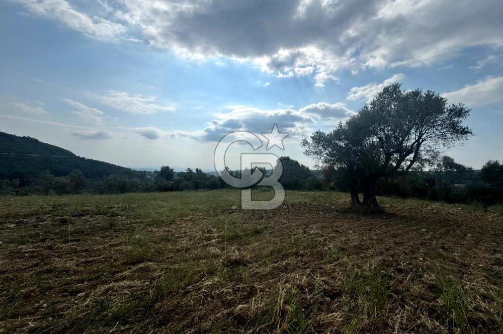 Buca Kırklar Köyünde 7400 m² Manzaralı Tek Tapu Satılık Tarla