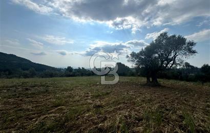 Buca Kırklar Köyünde 7400 m² Manzaralı Tek Tapu Satılık Tarla