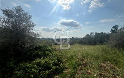 Buca Kırklar Köy Merkezine Yakın 5840 m² Tek Tapu Satılık Tarla