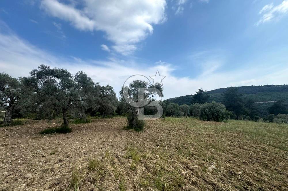 Buca Kırklar Köyünde 7400 m² Manzaralı Tek Tapu Satılık Tarla