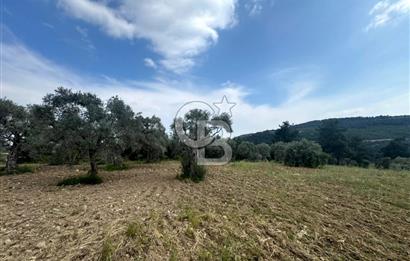 Buca Kırklar Köyünde 7400 m² Manzaralı Tek Tapu Satılık Tarla