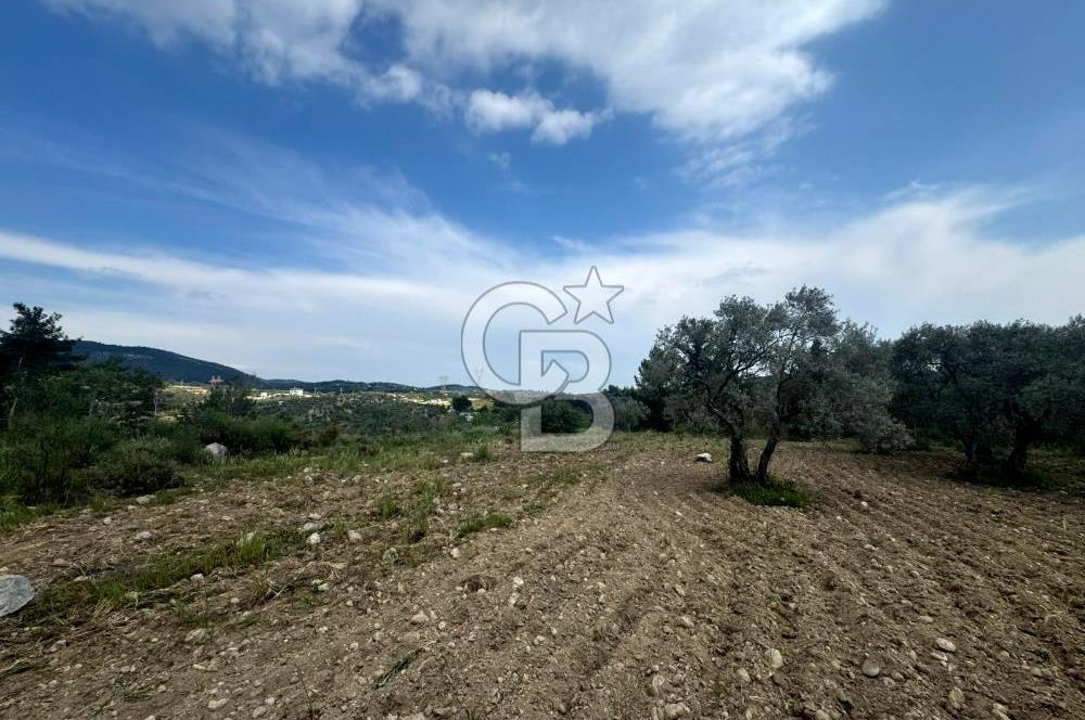 Buca Kırklar Köyünde 7400 m² Manzaralı Tek Tapu Satılık Tarla