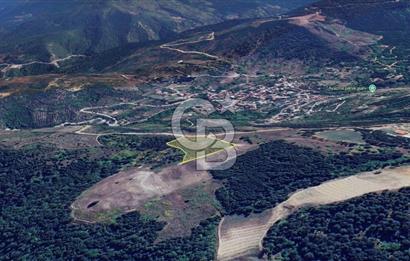 ORHANGAZİ YENİSÖLÖZ’de GÖL MANZARALI SATILIK TARLA