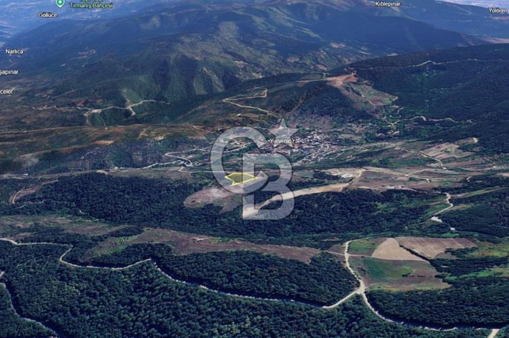 ORHANGAZİ YENİSÖLÖZ’de GÖL MANZARALI SATILIK TARLA