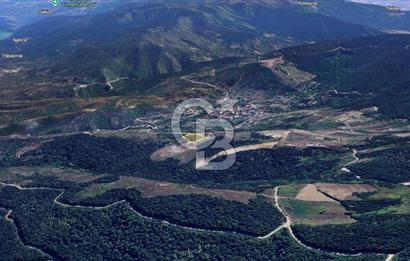 ORHANGAZİ YENİSÖLÖZ’de GÖL MANZARALI SATILIK TARLA