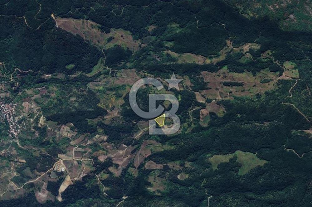 ORHANGAZİ YENİSÖLÖZ,de SATILIK TARLA