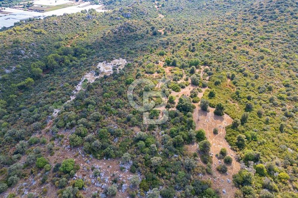 CB ARDENDEN ANTALYA DEMRE BÜYÜKKUMDA 1048 M2 SATILIK TARLA