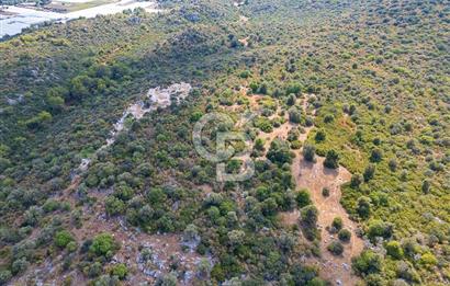 CB ARDENDEN ANTALYA DEMRE BÜYÜKKUMDA 1048 M2 SATILIK TARLA