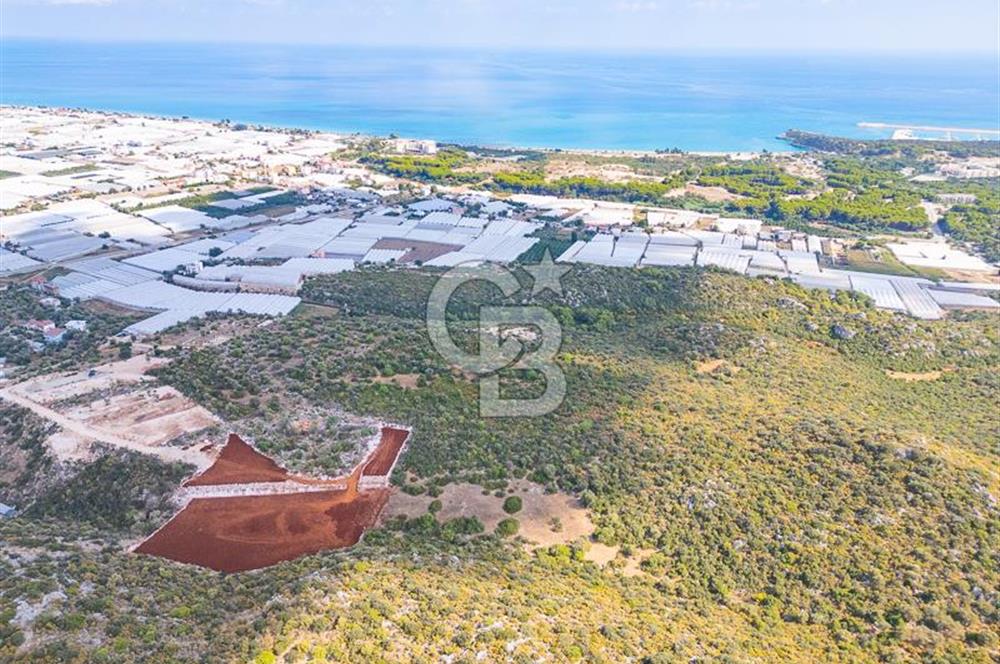 CB ARDENDEN ANTALYA DEMRE BÜYÜKKUMDA 1048 M2 SATILIK TARLA