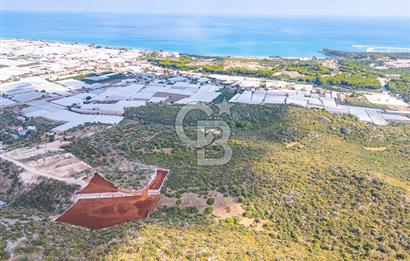 CB ARDENDEN ANTALYA DEMRE BÜYÜKKUMDA 1048 M2 SATILIK TARLA