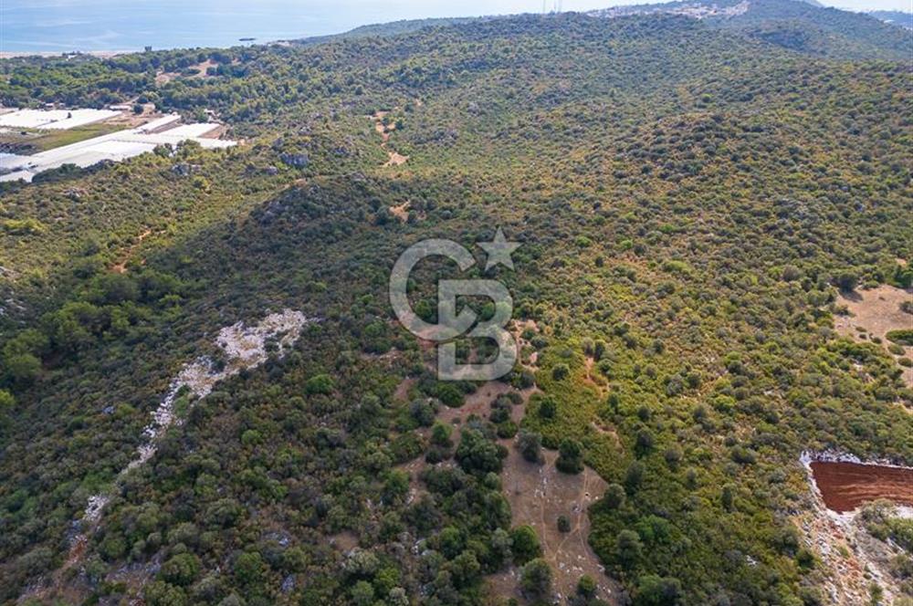 CB ARDENDEN ANTALYA DEMRE BÜYÜKKUMDA 1048 M2 SATILIK TARLA