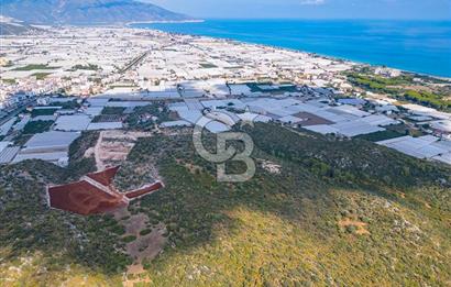 CB ARDENDEN ANTALYA DEMRE BÜYÜKKUMDA 1048 M2 SATILIK TARLA