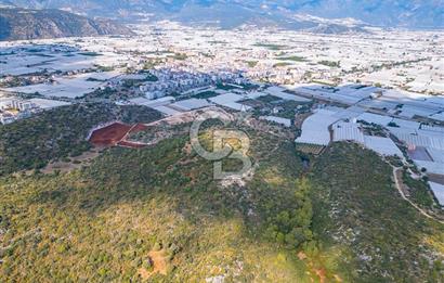 CB ARDENDEN ANTALYA DEMRE BÜYÜKKUMDA 1048 M2 SATILIK TARLA
