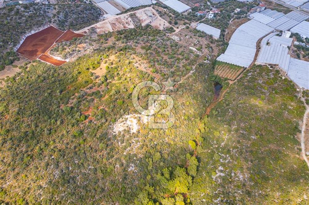 CB ARDENDEN ANTALYA DEMRE BÜYÜKKUMDA 1048 M2 SATILIK TARLA