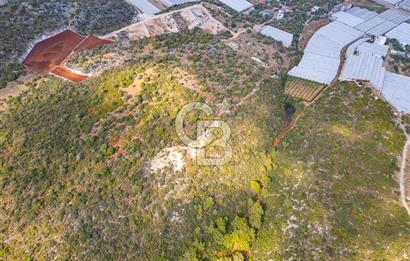 CB ARDENDEN ANTALYA DEMRE BÜYÜKKUMDA 1048 M2 SATILIK TARLA