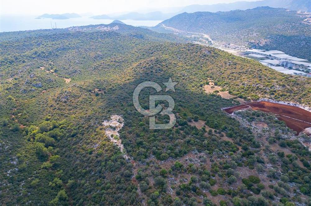 CB ARDENDEN ANTALYA DEMRE BÜYÜKKUMDA 1048 M2 SATILIK TARLA