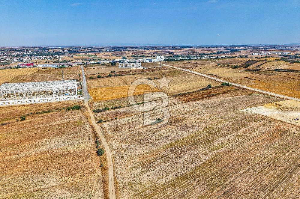 Veliköy OSB’ye Yakın Satılık Arsa