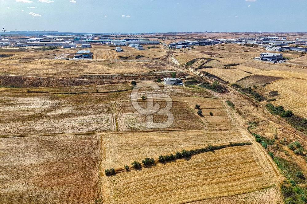 Veliköy OSB’ye Yakın Satılık Arsa