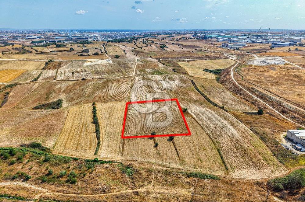 Veliköy OSB’ye Yakın Satılık Arsa