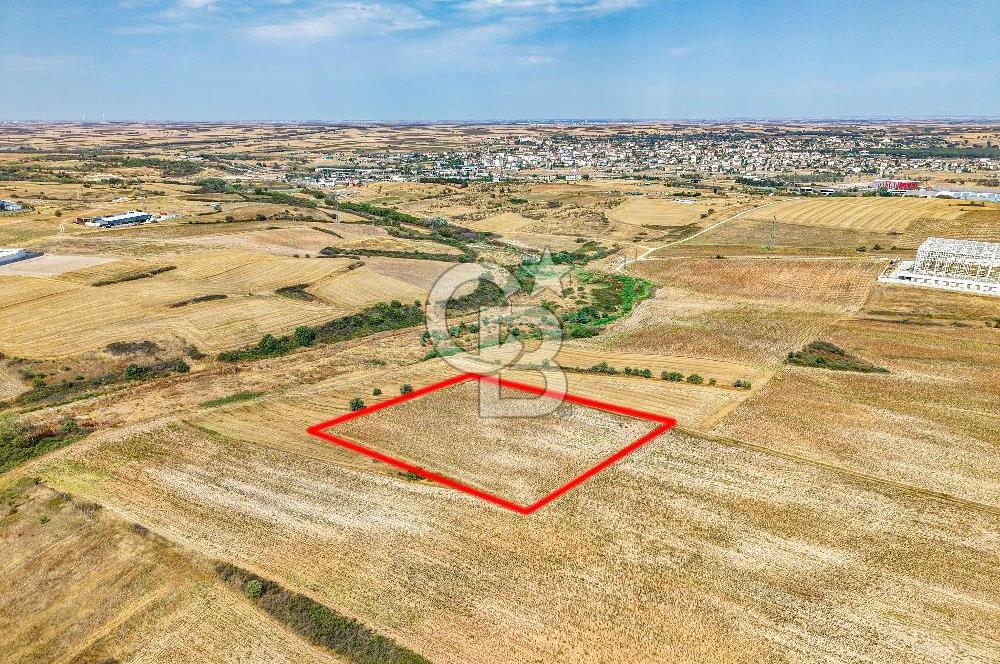 Veliköy OSB’ye Yakın Satılık Arsa