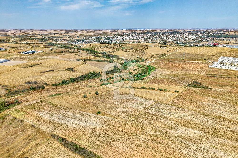 Veliköy OSB’ye Yakın Satılık Arsa