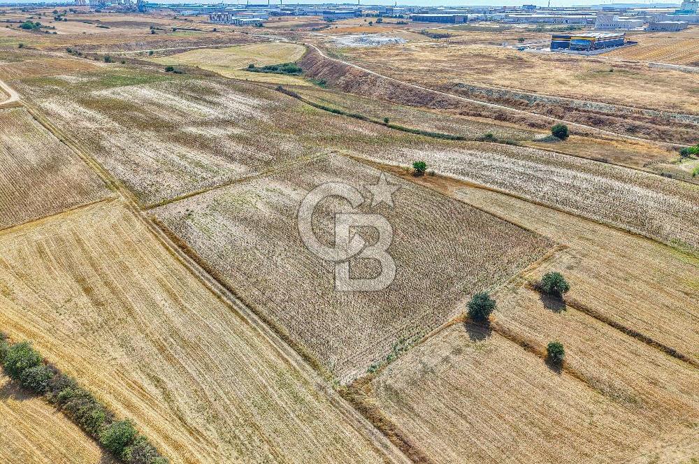 Veliköy OSB’ye Yakın Satılık Arsa
