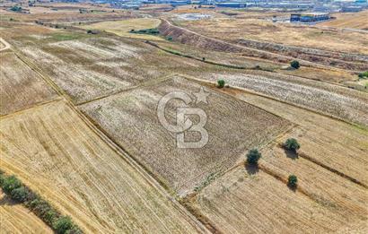 Veliköy OSB’ye Yakın Satılık Arsa