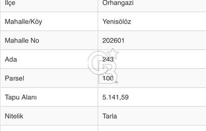 ORHANGAZİ YENİSÖLÖZ’de SATILIK TARLA 