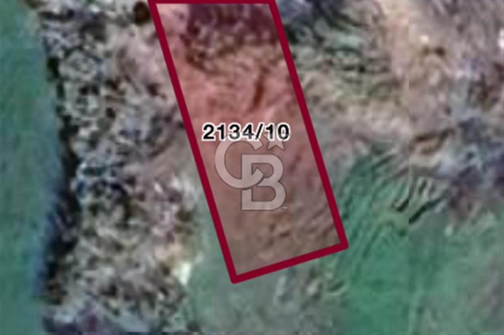 NAZİLLİ YENİ MAHALLE 280 M2 SATILIK İMARLI ARSA