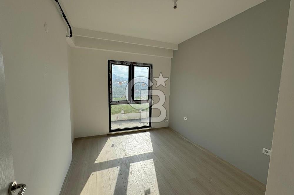 minimal sitesi 1+1