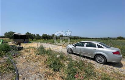 AKHİSAR SÜLEYMANLI 4.300m2 tarla 