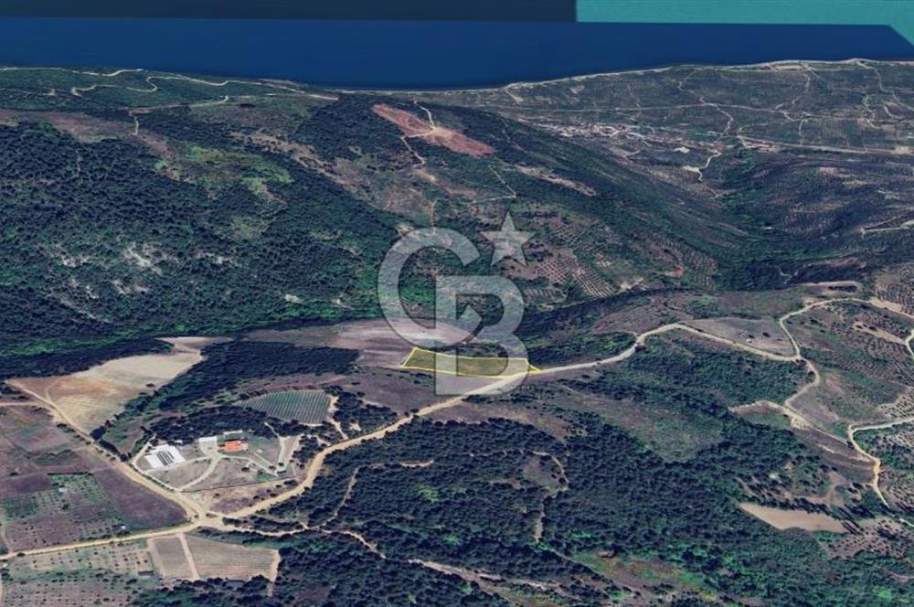ORHANGAZİ YENİSÖLÖZ’de GÖL MANZARALI SATILIK TARLA