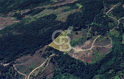 ORHANGAZİ YENİSÖLÖZ,de SATILIK TARLA