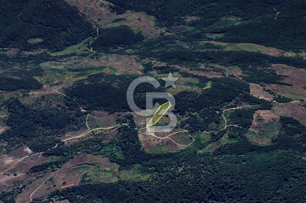 ORHANGAZİ YENİSÖLÖZ’de SATILIK TARLA 