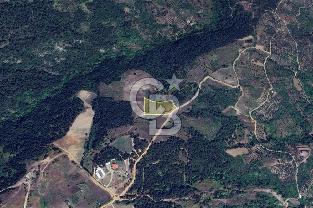 ORHANGAZİ YENİSÖLÖZ’de GÖL MANZARALI SATILIK TARLA