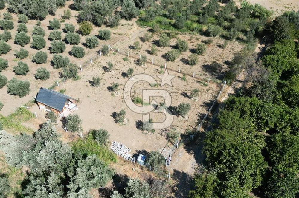 MENEMEN BELEN'DE SATILIK HAZIR KURULU TİNY HOUSE HOBİ BAHÇESİ