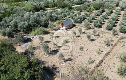 MENEMEN BELEN'DE SATILIK HAZIR KURULU TİNY HOUSE HOBİ BAHÇESİ